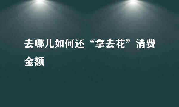 去哪儿如何还“拿去花”消费金额