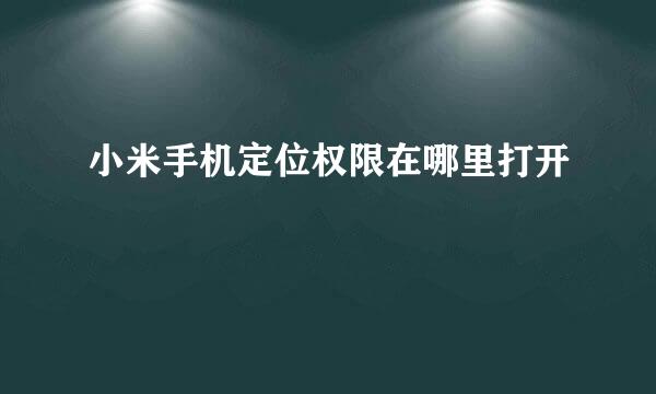 小米手机定位权限在哪里打开