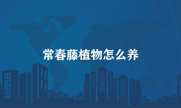 常春藤植物怎么养