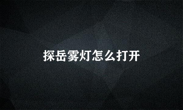探岳雾灯怎么打开