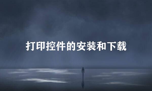 打印控件的安装和下载