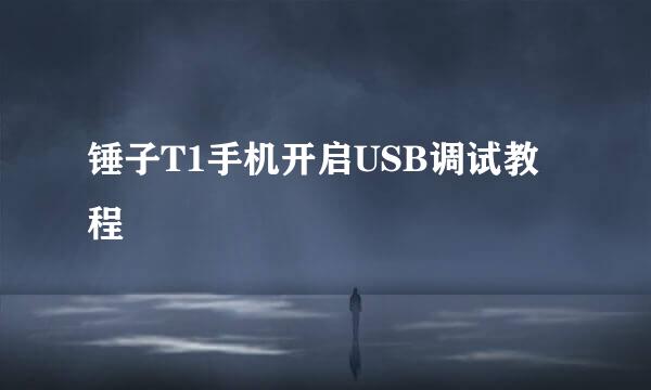 锤子T1手机开启USB调试教程