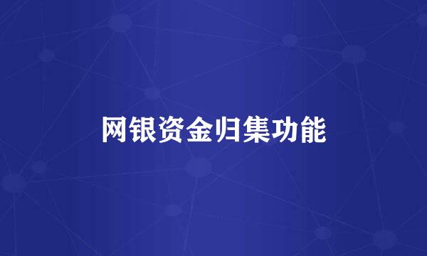 网银资金归集功能