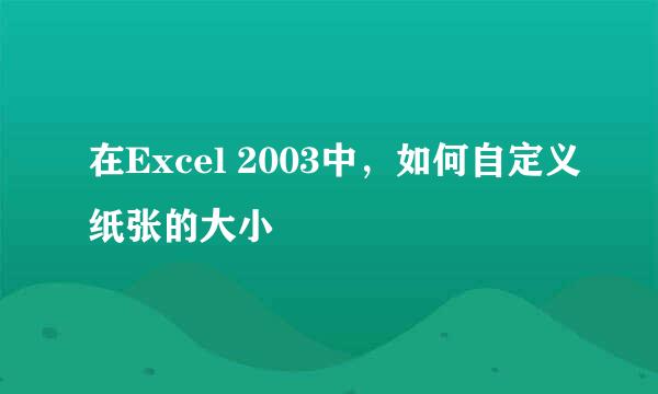 在Excel 2003中，如何自定义纸张的大小