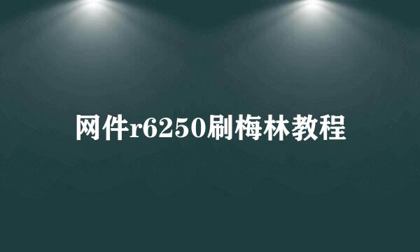 网件r6250刷梅林教程