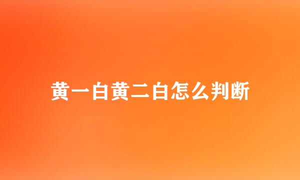 黄一白黄二白怎么判断