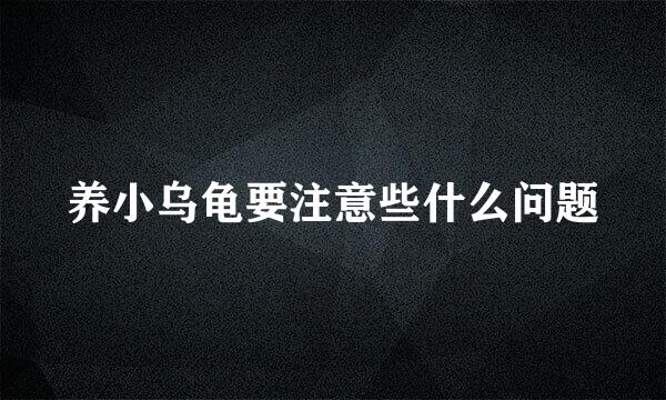 养小乌龟要注意些什么问题