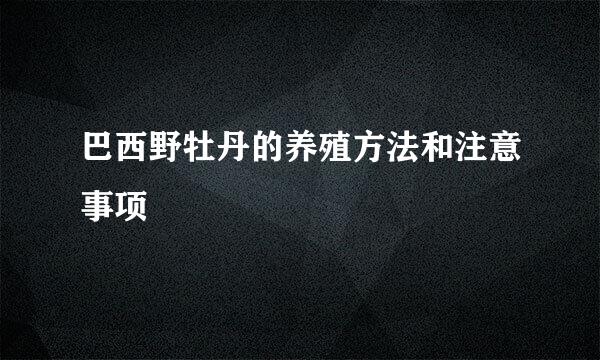 巴西野牡丹的养殖方法和注意事项