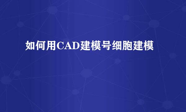 如何用CAD建模号细胞建模