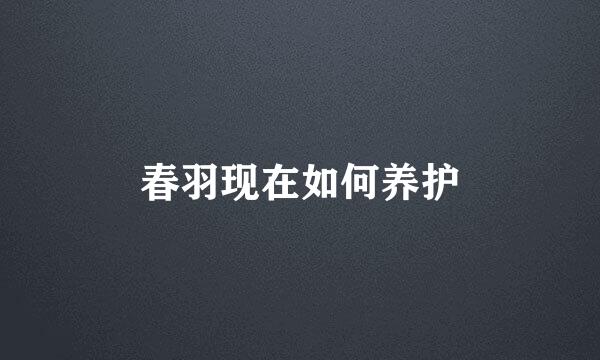 春羽现在如何养护