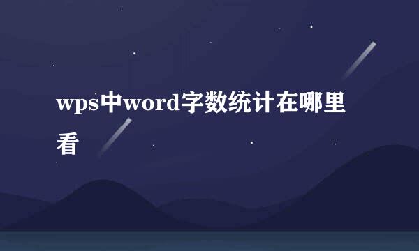 wps中word字数统计在哪里看