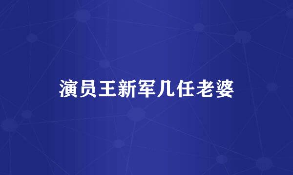 演员王新军几任老婆
