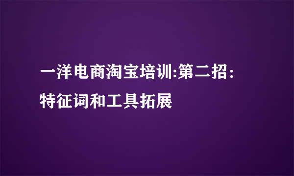 一洋电商淘宝培训:第二招：特征词和工具拓展