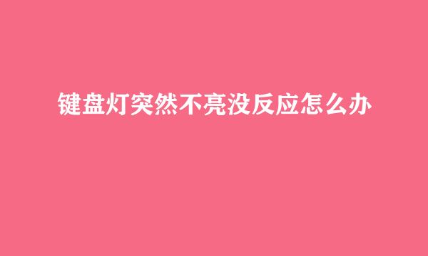 键盘灯突然不亮没反应怎么办
