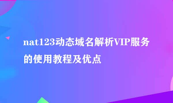 nat123动态域名解析VIP服务的使用教程及优点