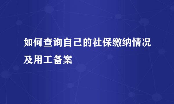 如何查询自己的社保缴纳情况及用工备案