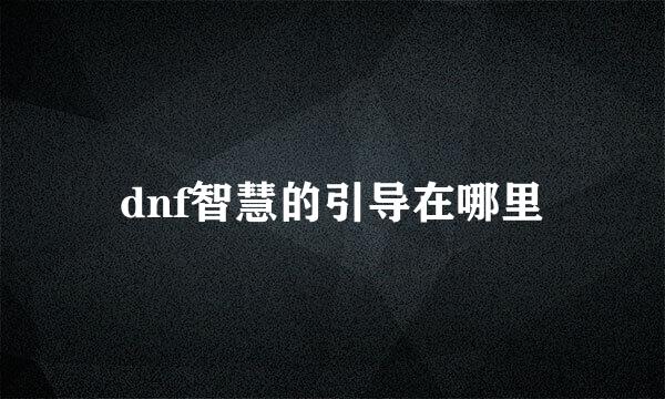 dnf智慧的引导在哪里