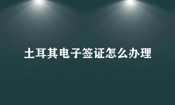 土耳其电子签证怎么办理