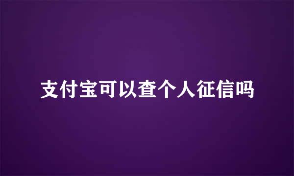 支付宝可以查个人征信吗