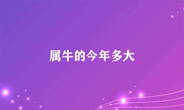属牛的今年多大