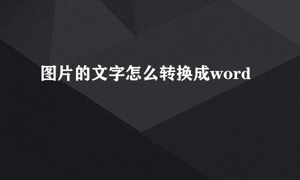 图片的文字怎么转换成word
