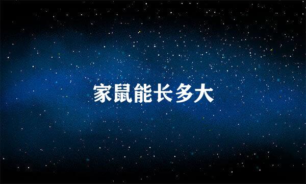 家鼠能长多大