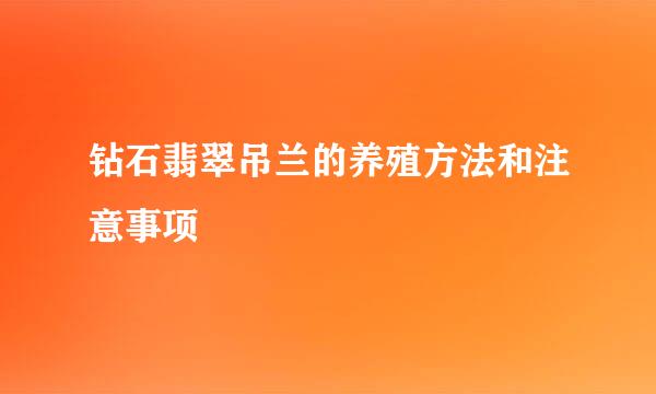 钻石翡翠吊兰的养殖方法和注意事项
