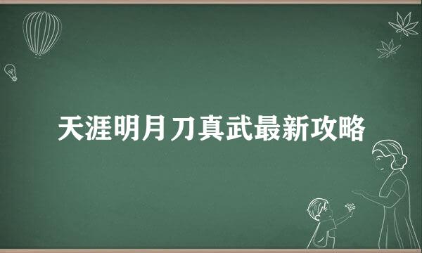 天涯明月刀真武最新攻略