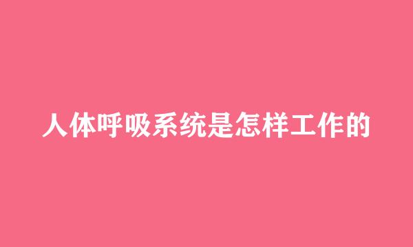 人体呼吸系统是怎样工作的