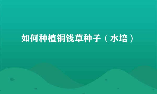 如何种植铜钱草种子（水培）
