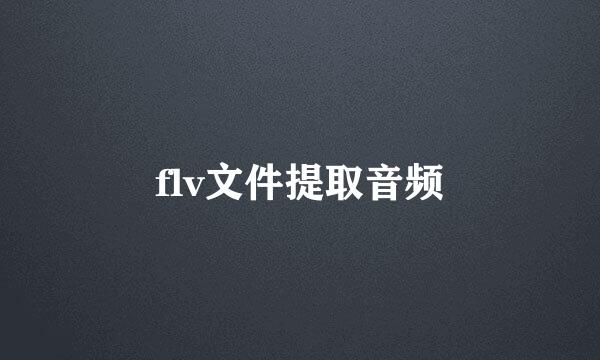 flv文件提取音频