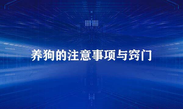 养狗的注意事项与窍门