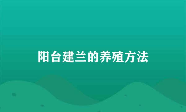 阳台建兰的养殖方法