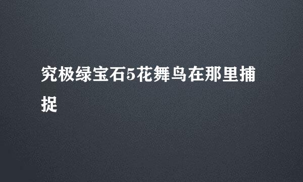 究极绿宝石5花舞鸟在那里捕捉