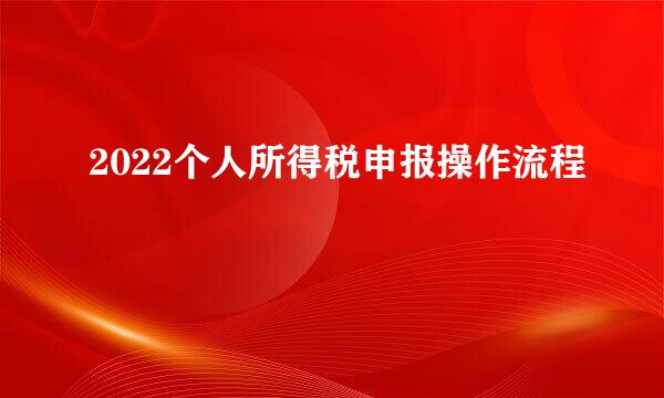 2022个人所得税申报操作流程