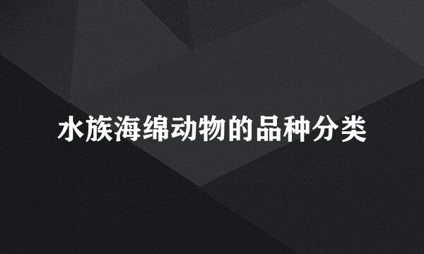 水族海绵动物的品种分类