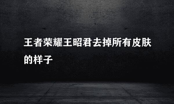 王者荣耀王昭君去掉所有皮肤的样子