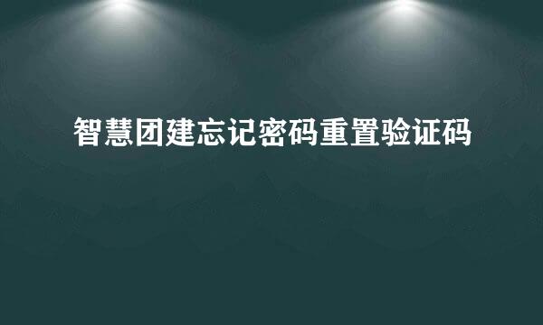 智慧团建忘记密码重置验证码