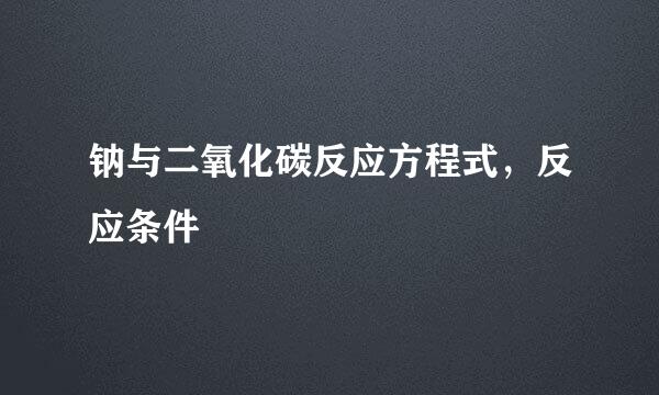 钠与二氧化碳反应方程式，反应条件