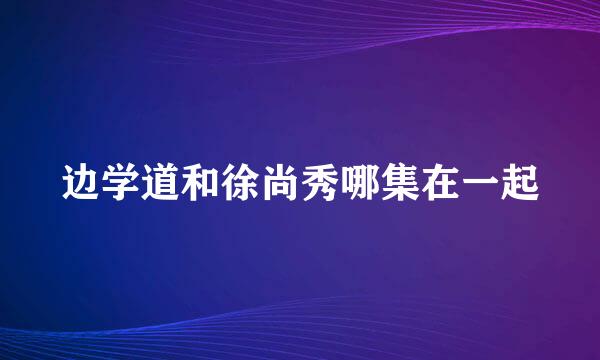 边学道和徐尚秀哪集在一起