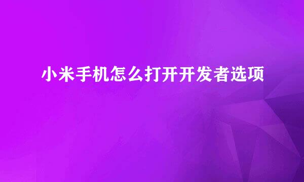 小米手机怎么打开开发者选项