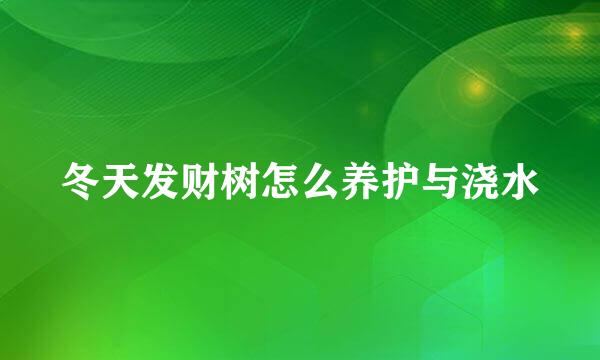 冬天发财树怎么养护与浇水