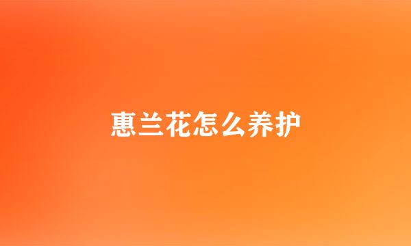 惠兰花怎么养护