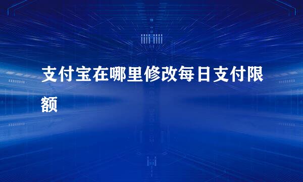 支付宝在哪里修改每日支付限额