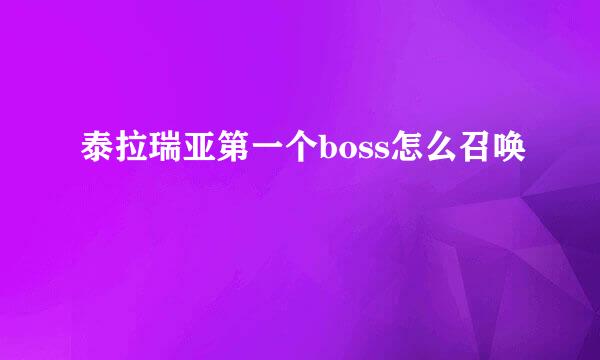 泰拉瑞亚第一个boss怎么召唤