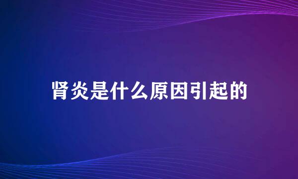 肾炎是什么原因引起的