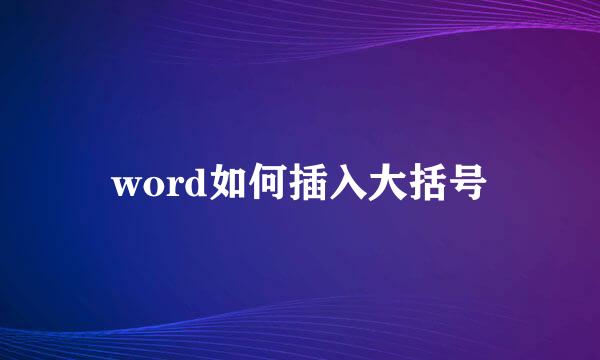 word如何插入大括号