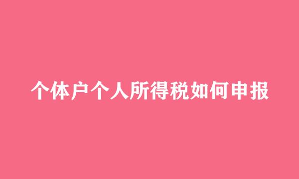 个体户个人所得税如何申报