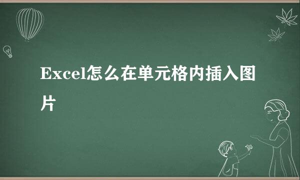 Excel怎么在单元格内插入图片