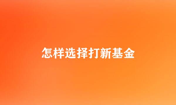 怎样选择打新基金